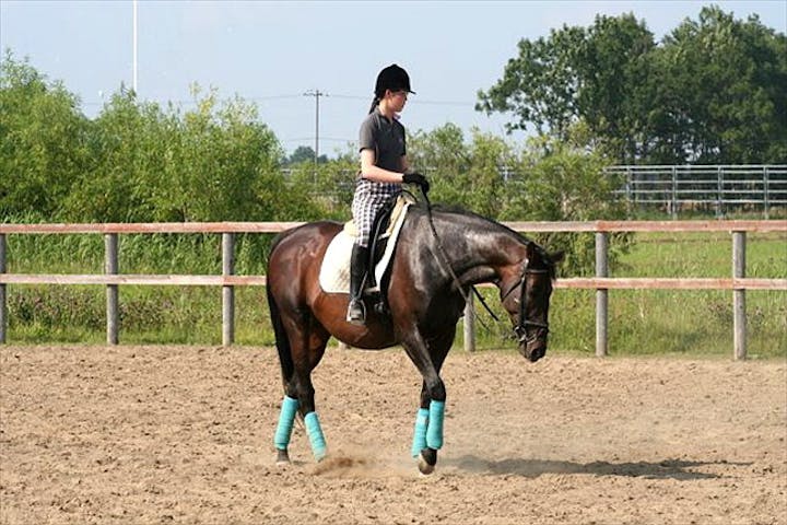 株式会社南幌ライディングパーク