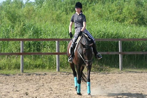 【北海道・南幌ライディングパーク・乗馬体験30分】初めての乗馬で駈けてみよう！