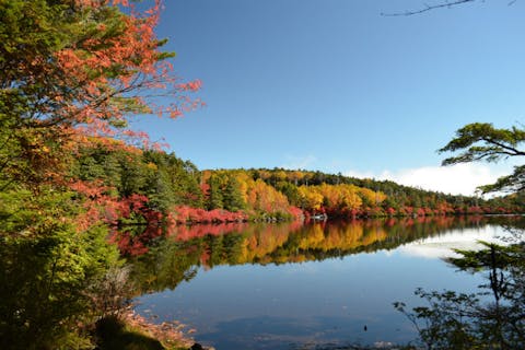 【八ヶ岳・登山ガイド】アクセス容易でファミリーにも！高見石から白駒池を見下ろそう