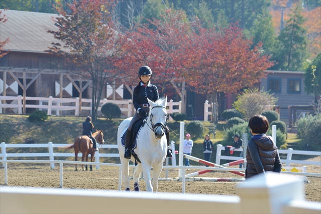 エバーグリーンホースガーデンは千葉県長生郡長柄町にて乗馬体験をご提供しています。