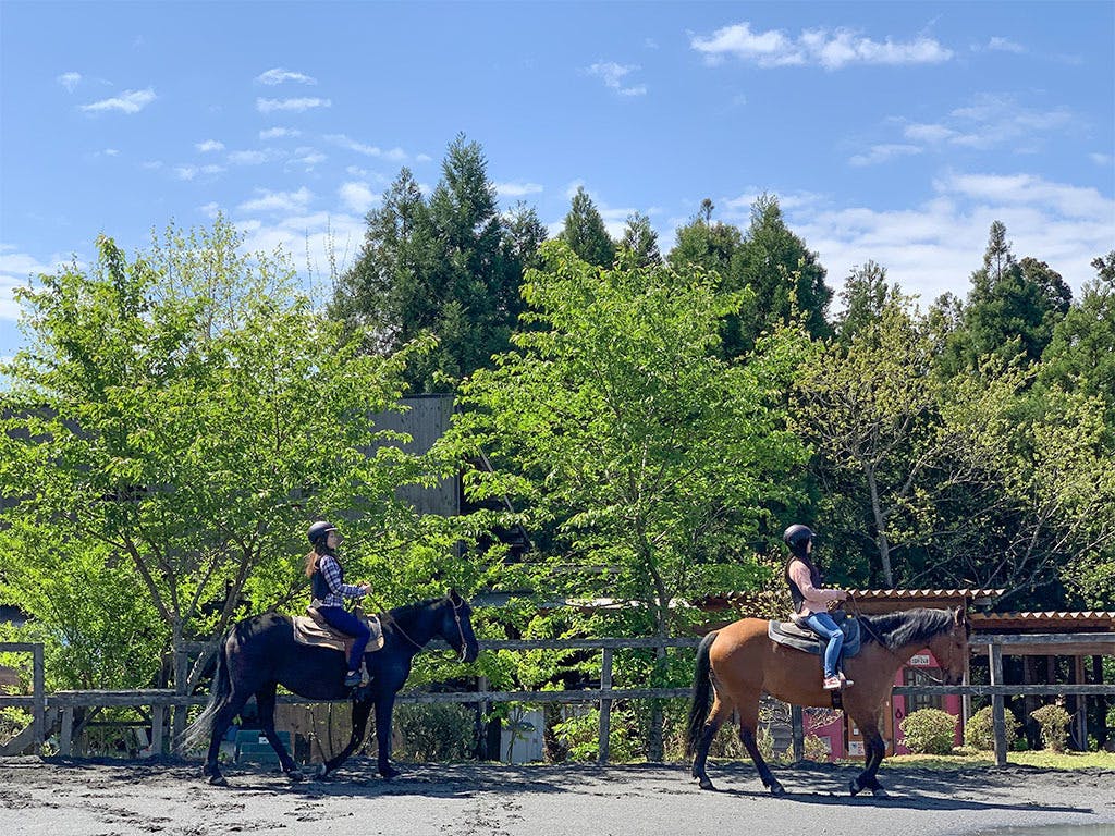 アクセス抜群！気軽にホーストレッキング