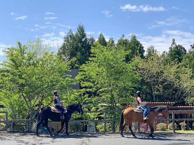 エバーグリーンホースガーデン
