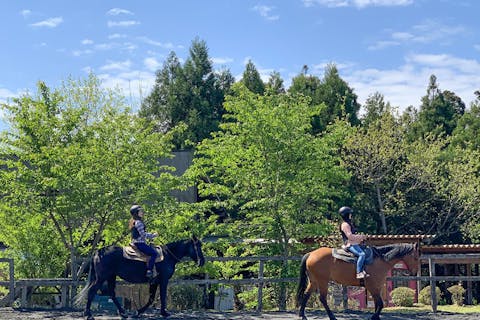 【千葉・市原・ホーストレッキング】体験乗馬＆お散歩トレイル（騎乗20分コース・撮影サービスあり）