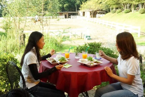 ＜特製ランチ付き＞【千葉・市原・ホーストレッキング】体験乗馬＆ショートトレイル（騎乗30分コース・撮影サービスあり）