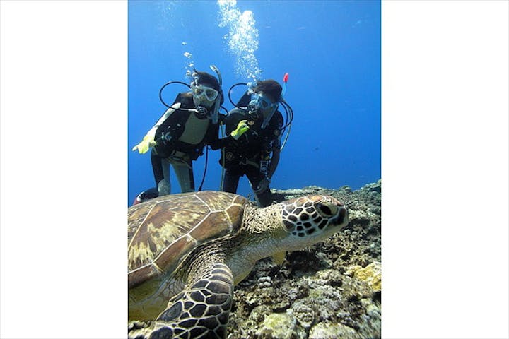 パラダイス倶楽部