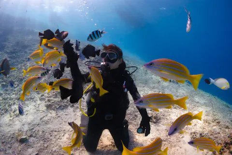 【沖縄・恩納村】美ら海体験ダイビング｜恩納村の人気スポット「クマノミパラダイス開催」。専属ガイド完全貸切で初心者も安心｜透明度が高い沖縄の美ら海を満喫！（昨年1,000名以上が参加）