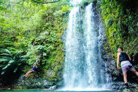 特別価格限定品沖縄ター滝★彼の気持ちを掴む愛されプレートオルゴナイト やんばる(大宜味村)開催／ター滝／約3時間】リバートレッキング！冒険