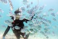 ライセンスをお持ちでなくても、カラフルな魚と間近に触れ合う貴重な体験ができます。