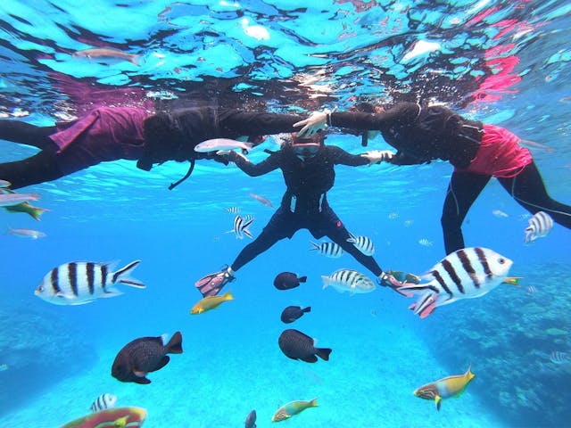 沖縄アイランドクルー