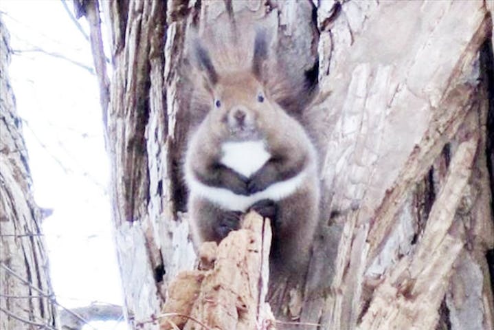 SAN SAPPORO ACTIVE NAVIGATION（サンサッポロアクティブナビゲーション）