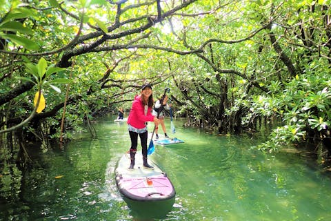 【沖縄県石垣島・SUP】人気上昇中のSUPに乗って、マングローブ林をのんびりお散歩（1組貸切）