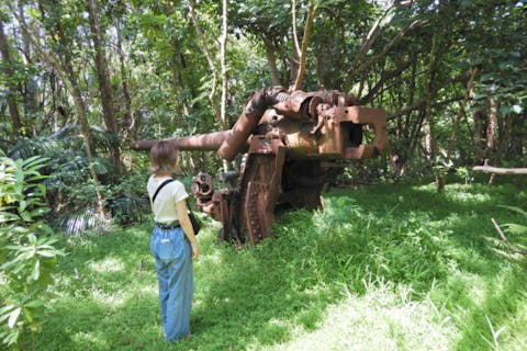 【小笠原・父島・半日・戦跡ツアー】ジャングルを探索！戦争の爪あとを巡ろう