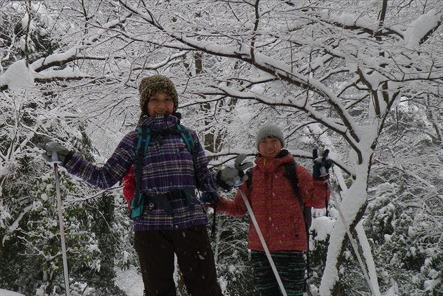 【滋賀・スノーシュー・雪の森】初心者におすすめ！深雪の森を行くランチ付きプラン