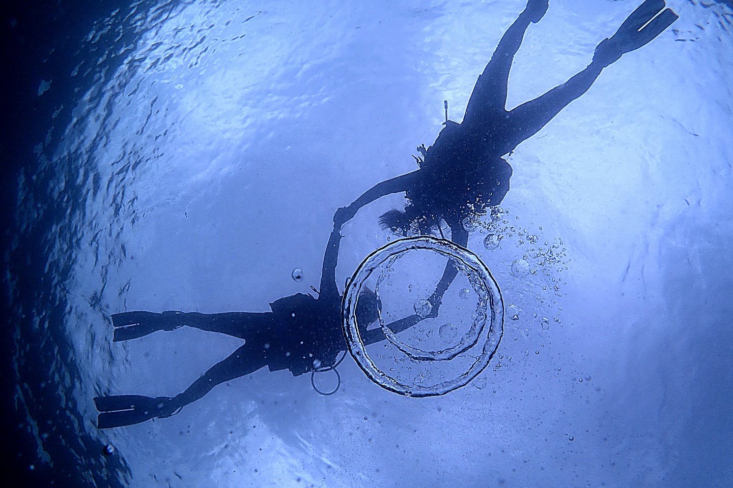 【山口県青海島・体験ダイビング】プロカメラマンによる水中写真撮影付き体験ダイビング