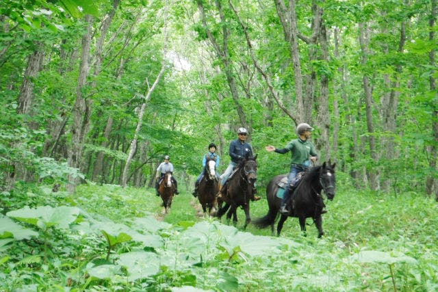 【北海道・苫小牧・体験乗馬】大自然の中で本格的な乗馬を体験！体験外乗プラン（90分）
