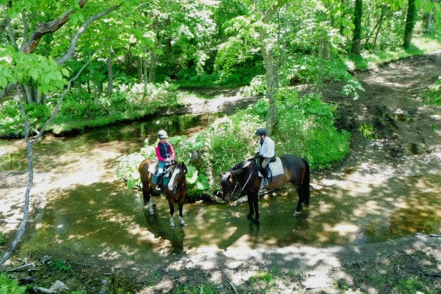 【北海道・苫小牧・体験乗馬】大自然の中で本格的な乗馬を体験！体験外乗プラン（90分）｜アソビュー！