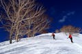 行きたい所に行けるのがテレマークスキーの最大の魅力。新雪のパウダーを滑りましょう。