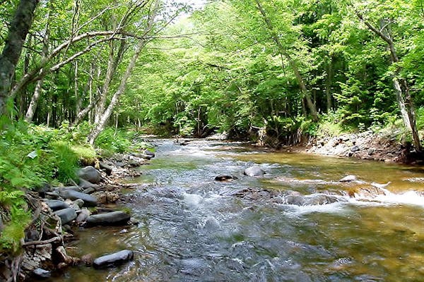 北海道・川の釣りガイド・山口｜ネット予約ならアソビュー！