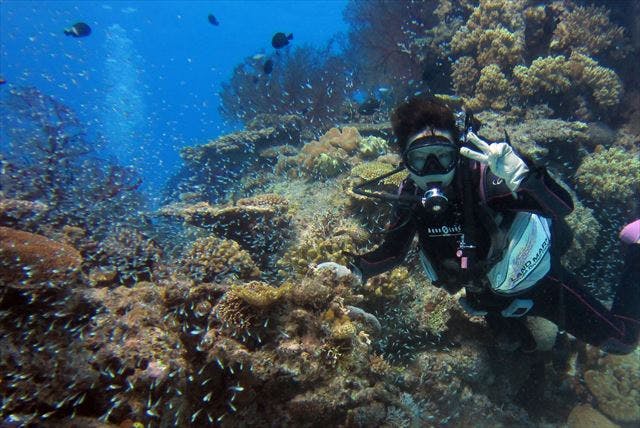 石垣島FLOWFISHの割引プラン