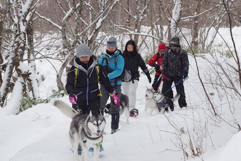【山梨・八ヶ岳】★プライベートツアー　愛犬と楽しむ清里ウィンターハイキング（1日）※ランチボックス付♪　