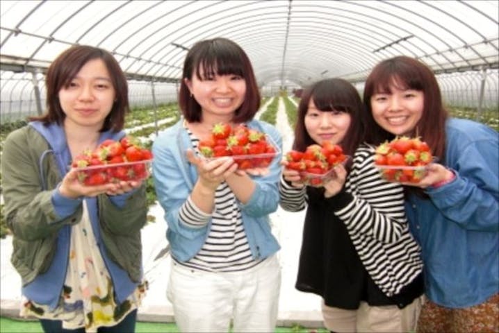 前田いちご園 ネット予約ならアソビュー 前田いちご園 ネット予約ならアソビュー