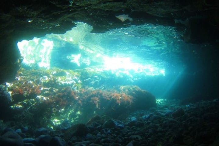 マリンステージ