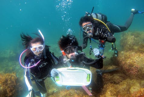 【静岡・富戸・体験ダイビング】東伊豆の美しい海に潜ろう！体験ダイビングプラン