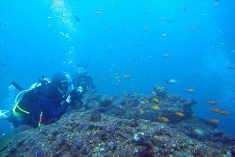 伊豆 ダイビング サポート充実 ライセンスを取得して海への扉を開こう ご自宅送迎付 アソビュー