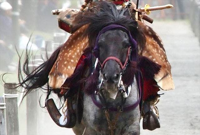 福岡県・流鏑馬（やぶさめ）体験】未経験者OK！流鏑馬体験（Aコース