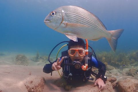 【大阪・体験ダイビング】水中散歩を楽しもう♪体験ダイビング