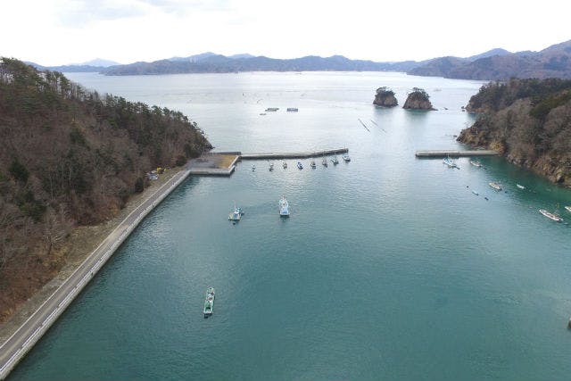 High Bridge（ハイブリッジ） (女川町（牡鹿郡） ファンダイビング)の「【宮城・ファンダイビング・2ボート】世界三大漁場の1つ、三陸海岸でファンダイビングしよう！」の画像