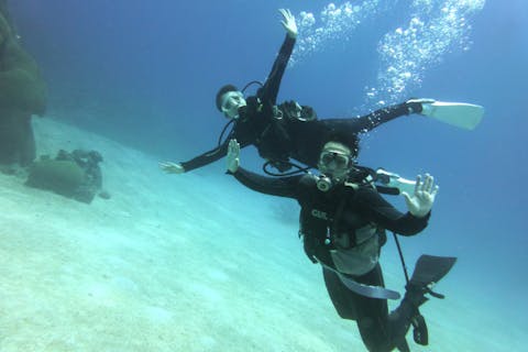 【奄美大島・ファンダイビング】2ボートダイブ、 ボートエントリーで魅力的な水中生物達に会いに行こう！