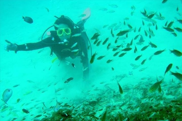 奄美大島 ファンダイビング ビーチから海へ 小さな生き物が待つ世界へ潜りに行こう アソビュー