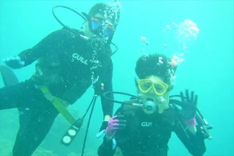 【奄美大島・ファンダイビング】ビーチから海へ！小さな生き物が待つ世界へ潜りに行こう
