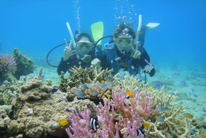 奄美ダイビングスクール はげまりーん