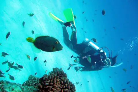 【奄美大島・ダイビングライセンス取得】最短2日で取得！4回以上の海洋実習付き！