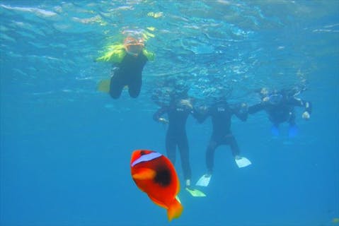 【奄美大島南部・シュノーケリング・半日】透明度が高い海でヨットクルーズ付き！