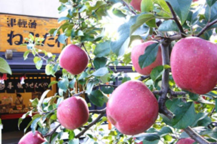 津軽藩ねぷた村