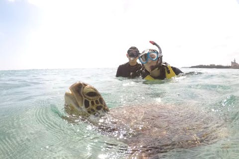 【宮古島・シュノーケリング】ウミガメと泳ぐシュノーケリングプラン♪カラフルなサンゴやお魚にも会えます！初心者歓迎☆