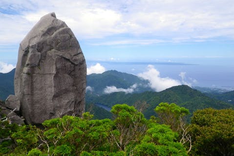 屋久島 太忠岳 トレッキング 屋久杉原生林を抜け スピリチュアルな太忠岳山頂へ アソビュー