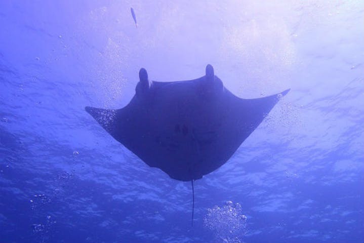 マリンショップtaitai