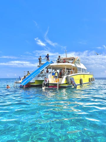 OPG（オーピージー）