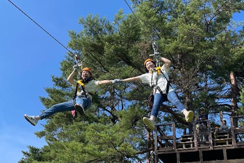 【ひるがの・ジップライン】森の息吹を全身で感じる、子供も大人もみんなでジップライナーになる