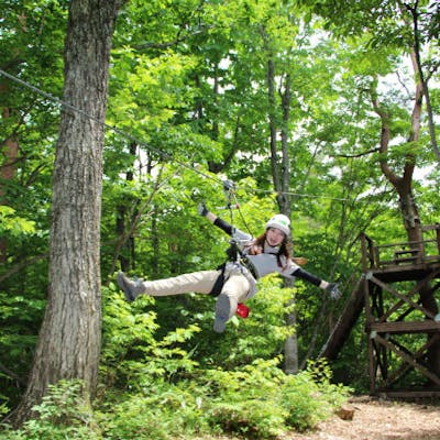 ひるがの ジップライン 森の息吹を全身で感じる 子供も大人もみんなでジップライナーになる アソビュー ひるがの ジップライン 森の息吹を全身で感じる 子供も大人もみんなでジップライナーになる アソビュー
