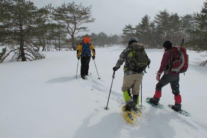 宮城 トレッキング 1日 冬限定 雪化粧をまとった泉ヶ岳をスノーシューで歩こう アソビュー