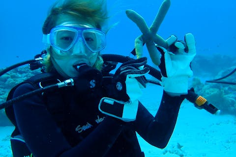 【座間味島・体験ダイビング】とことん楽しむなら座間味島の体験ダイビングで決まり！