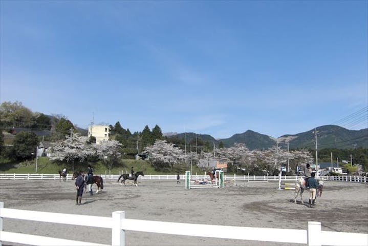 鹿児島 霧島市 10分 乗馬 乗馬ビギナープラン 爽やかな風と馬のぬくもりで癒しのひとときを アソビュー