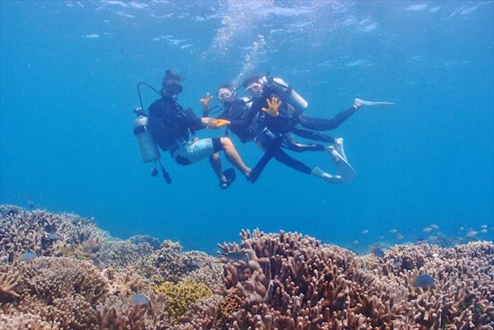 マリンクラブ ベリー 喜瀬店