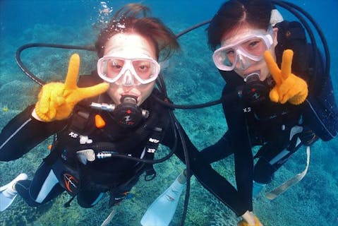 【沖縄県名護市・体験ダイビング】ボードでポイントに！熱帯魚に必ず会える体験ダイビング