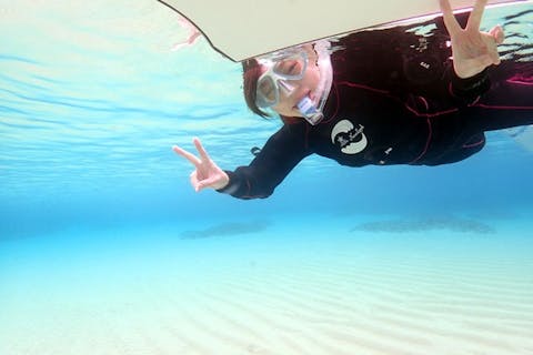 【奄美大島・シュノーケリング】テーブルサンゴと熱帯魚に出合うホワイトビーチコース